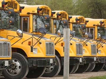 buses___Content.jpg