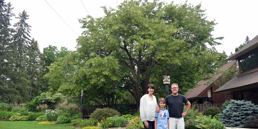 Residents Question Hydro One Easement Plans In Kanata