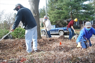 IanPermaculture2_Content.jpg