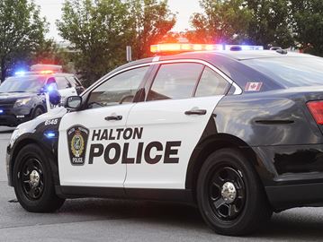 HRPS__STOCK_cruisers___Content.jpg