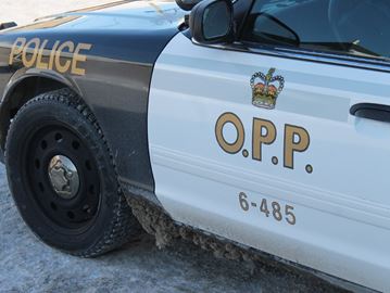 Chicken order placed through call to 911, assaults and Canada Revenue Agency scam occupy Northumberland police