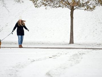 WINTER_WALK___Content.jpg