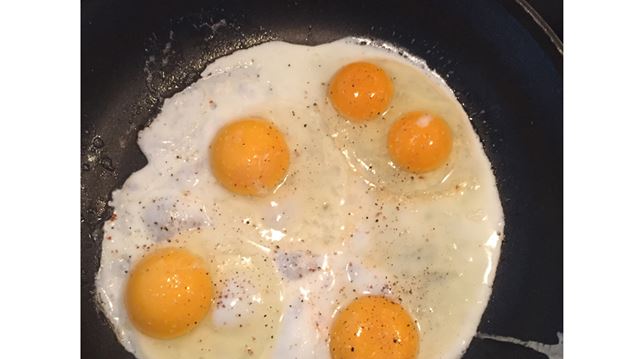 Two yolks, three, four? What are the odds? | DurhamRegion.com
