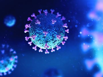 shutterstock_coronavirus10___Content.jpg