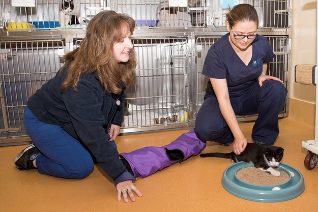 Twenty-two pets find new homes as Brampton Animal Shelter kicks off  weeklong adopt-a-thon