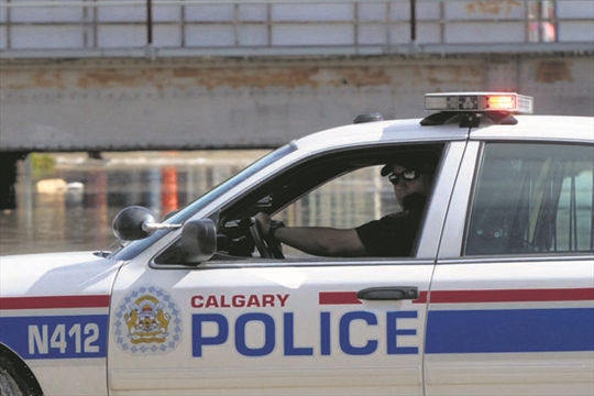 Calgary bobsleigh coupons