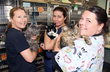 From left are Cambridge & District Humane Society staff members Michelle DaSilva, Kayleigh Furey and Krista Morgan.