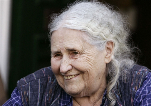 group minds doris lessing essay Comparitive critique of doris lessing's article group minds and in her essay titled group minds, doris lessing claims that as a society we have enough. group minds doris lessing essay Comparitive critique of doris lessing's article group minds and in her essay titled group minds, doris lessing claims that as a society we have enough.