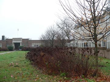 P1170473___Content.jpg